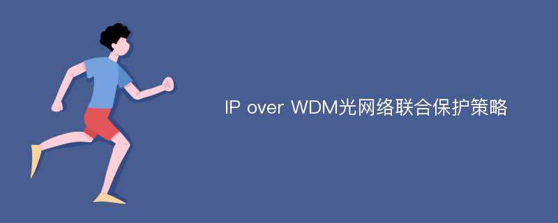 IP over WDM光网络联合保护策略