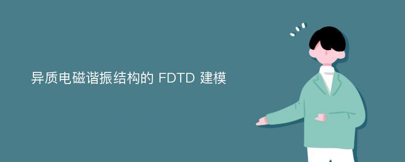 异质电磁谐振结构的 FDTD 建模